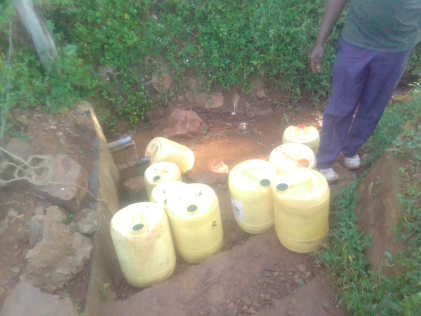 Photo of jericans used for fetching water.