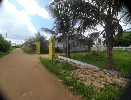 A big bulding behind palm trees, next to a dirt road