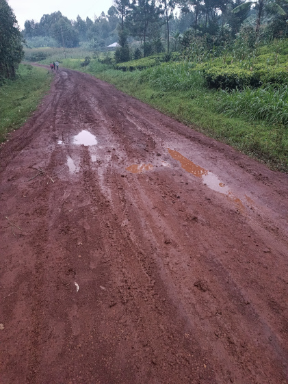 A mud road in rural Kenya